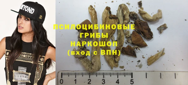таблы Новокубанск