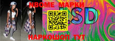 индика Заволжье