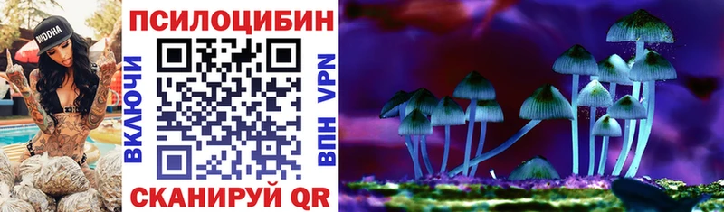 Псилоцибиновые грибы Cubensis  Ржев 