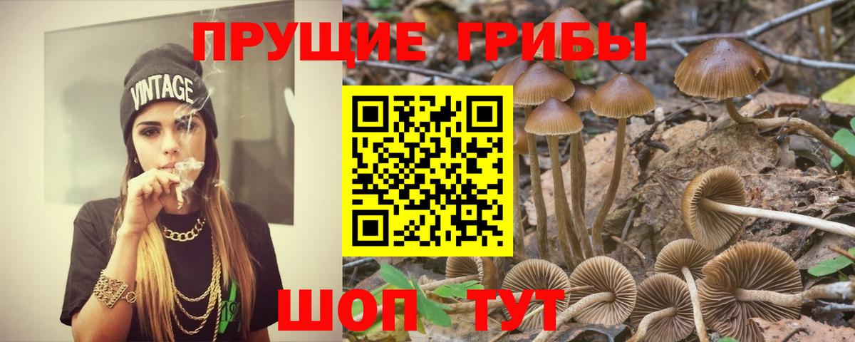 Ржев  Галлюциногенные грибы GOLDEN TEACHER  Псилоцибиновые грибы Psilocybe  Вход с VPN 