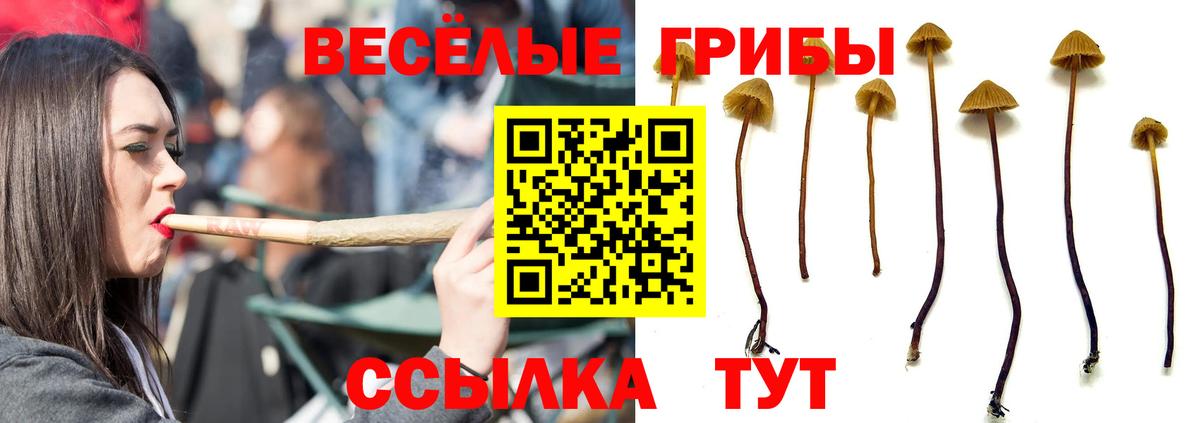 Галлюциногенные грибы мухоморы Ржев